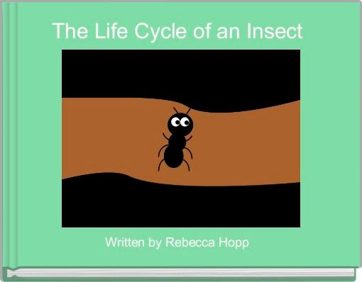 The Life Cycle of an Insect 