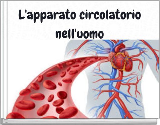L'apparato circolatorio nell'uomo