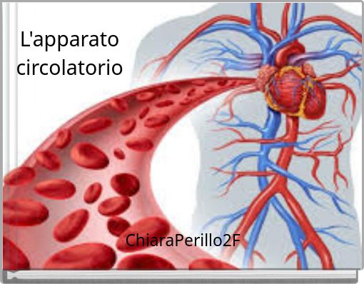 L'apparato circolatorio
