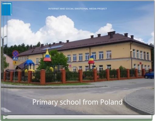 INTERNET AND SOCIAL EMOTIONAL MEDIA  PROJECT