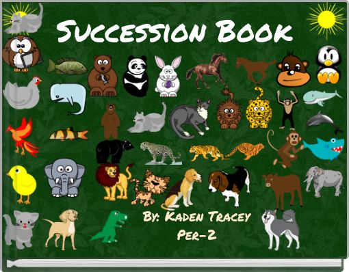 Front cover of 'Succession Book' 