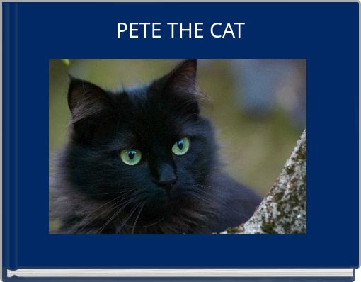 PETE THE CAT