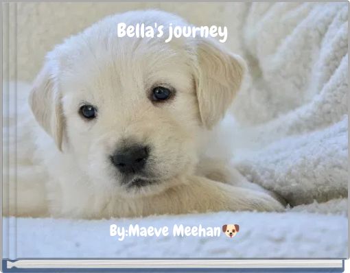 Bella's journey