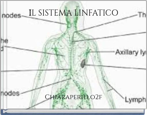 IL SISTEMA LINFATICO