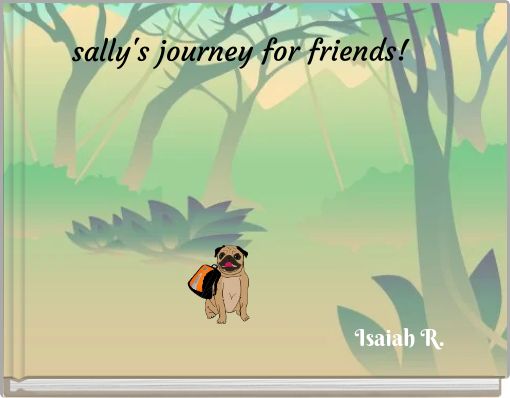 sally's journey for friends!