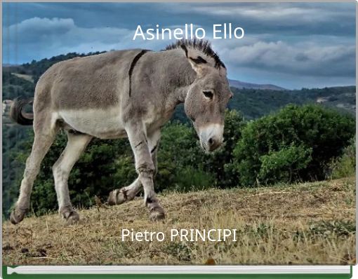 Front cover of 'Asinello Ello' 