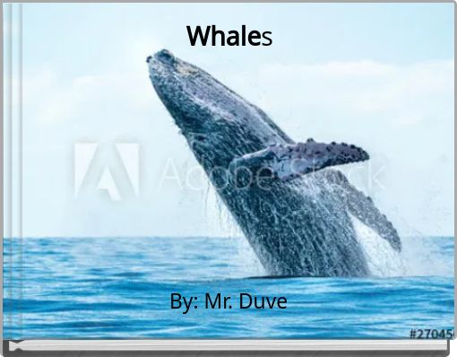 Whales