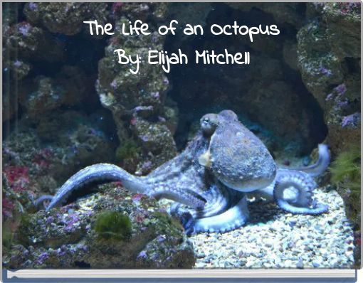 The Life of an OctopusBy: Elijah Mitchell