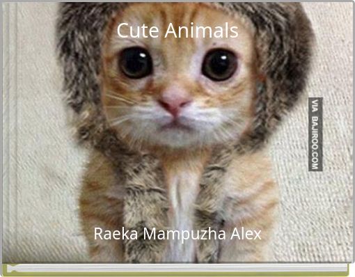 Cute Animals