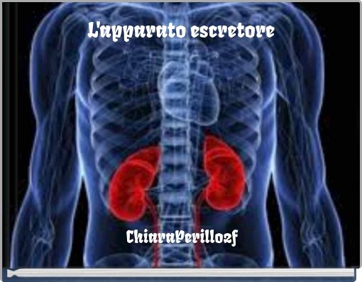 L'apparato escretore