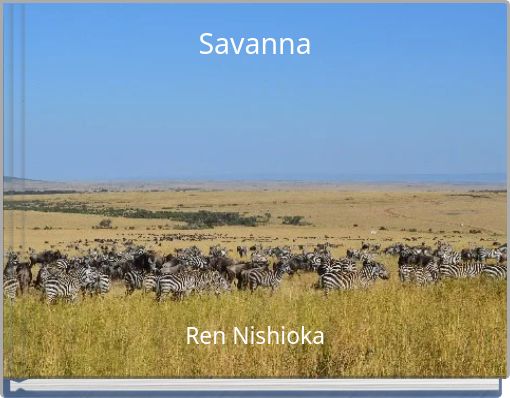 Savanna