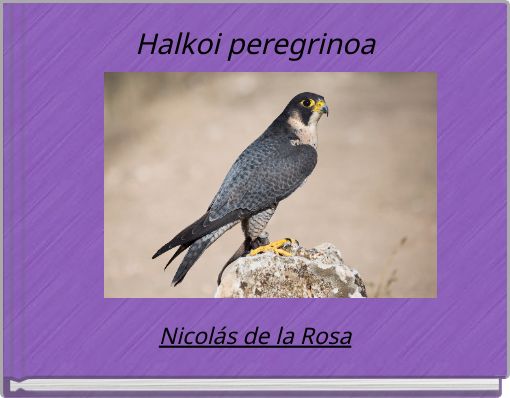 Halkoi peregrinoa