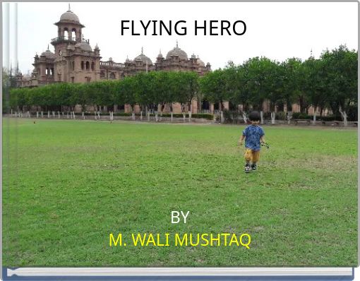 FLYING HERO