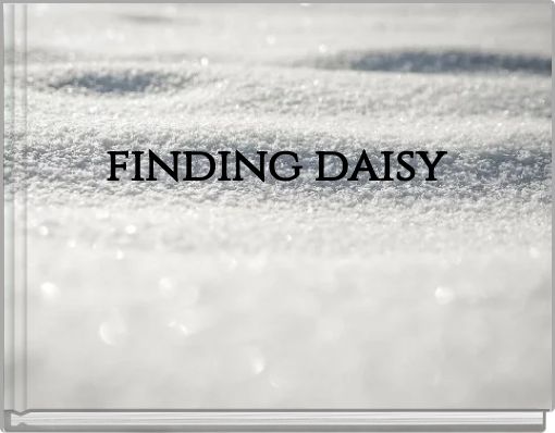 finding daisy