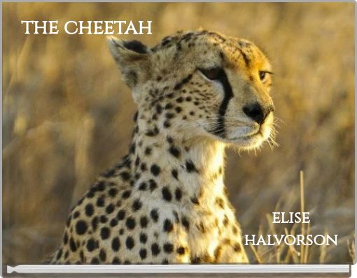 Front cover of 'the cheetah' 