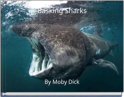 Basking Sharks