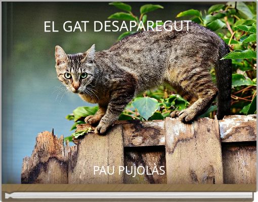 EL GAT DESAPAREGUT