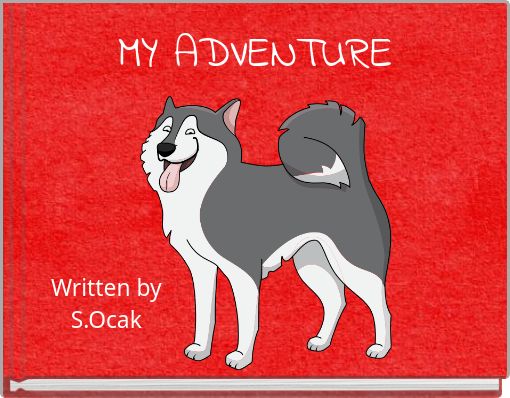 Front cover of 'MY ADVENTURE' 