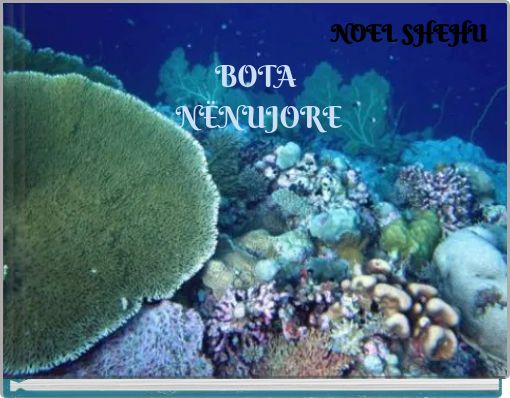 Book Cover for: BOTA NËNUJORE