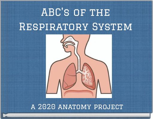 ABC's of the Respiratory System