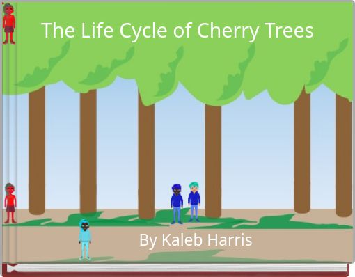 The Life Cycle of Cherry Trees