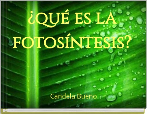 &iquest;qu&eacute; es la fotos&iacute;ntesis?