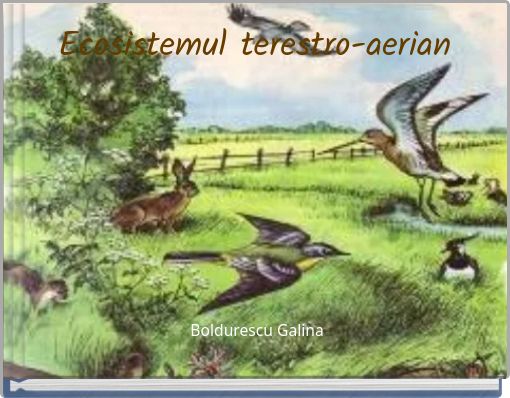 Ecosistemul terestro-aerian