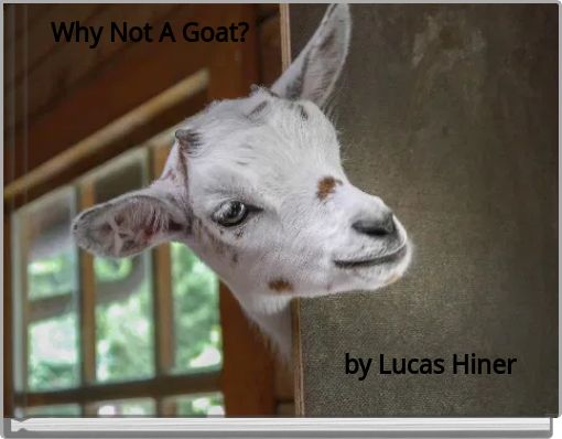 Why Not A Goat?