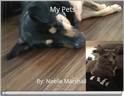Front cover of 'My Pets' 