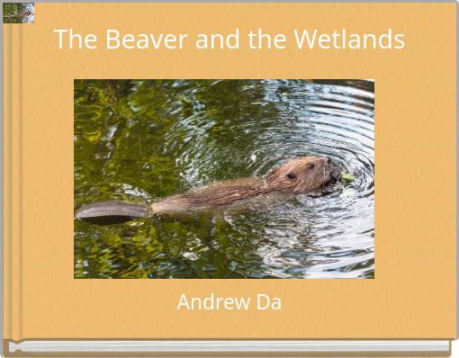 The Beaver and the Wetlands