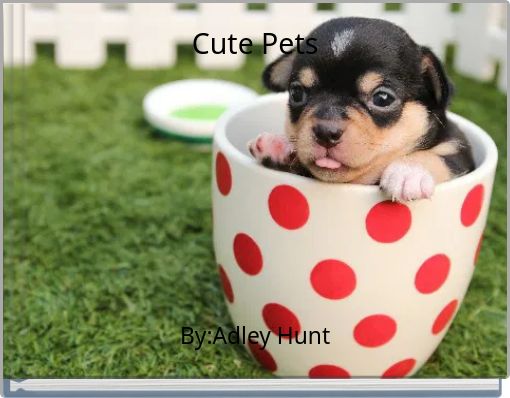 Cute Pets