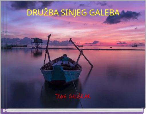 Front cover of 'DRUŽBA SINJEG GALEBA' 