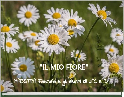 "IL MIO FIORE"