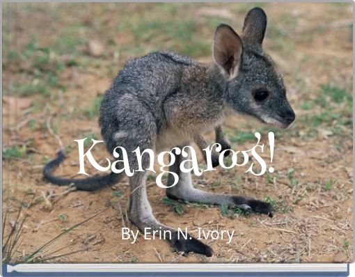 Kangaroos!