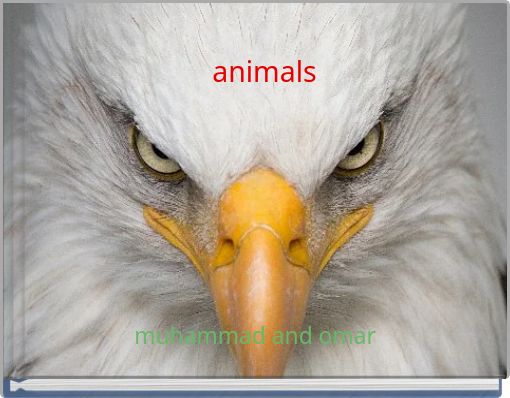 animals