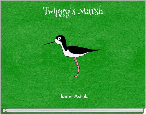 Twiggy's Marsh