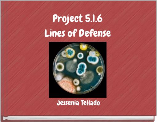 Project 5.1.6 Lines of Defense