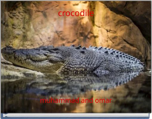 crocodile