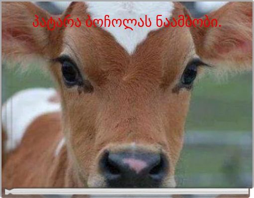 Front cover of 'პატარა ბოჩოლას ნაამბობი.' 