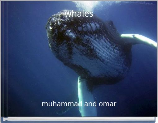 whales