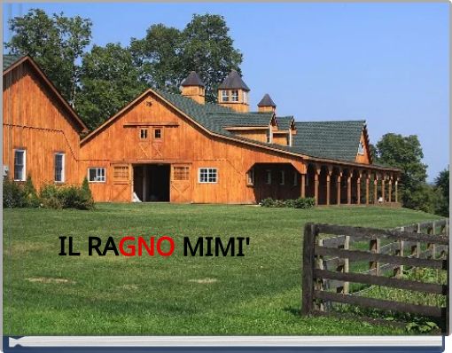 IL RAGNO MIMI'