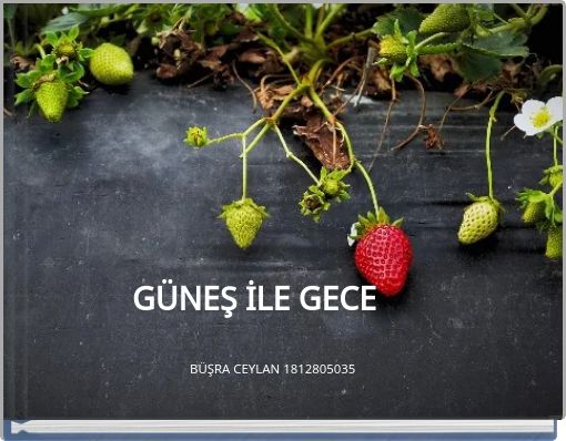 GÜNEŞ İLE GECE
