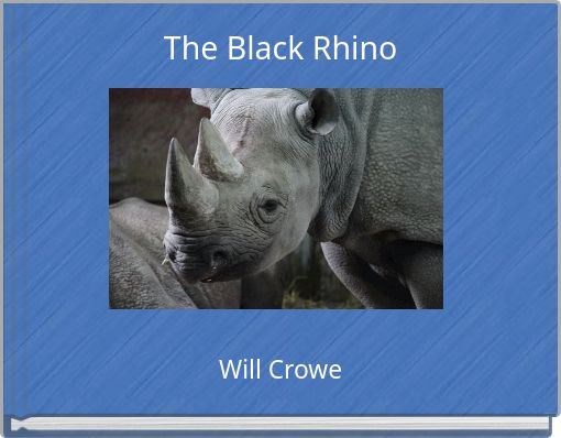 The Black Rhino