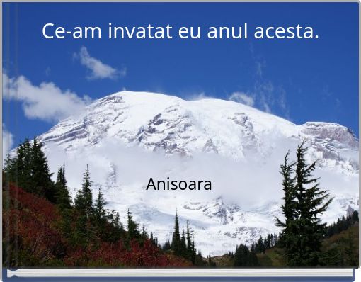 Ce-am invatat eu anul acesta.