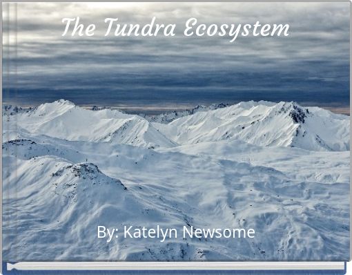 The Tundra Ecosystem