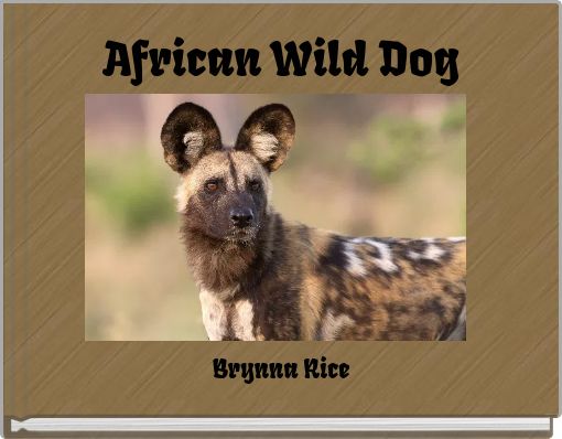 African Wild Dog