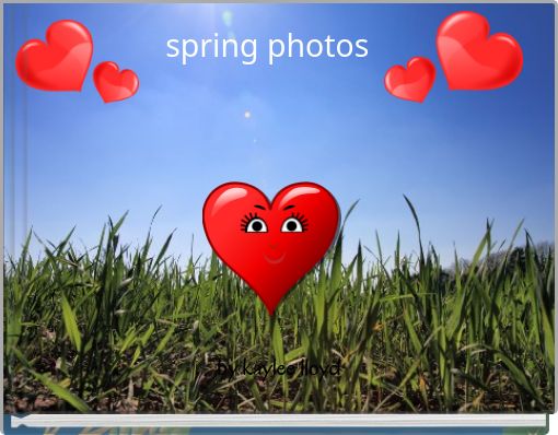 Front cover of 'spring photos' 