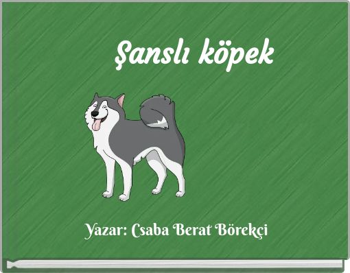Şanslı köpek