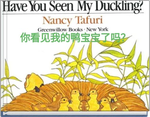 你看见我的鸭宝宝了吗？
