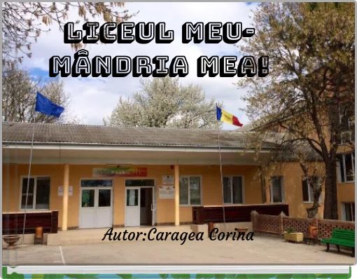 Liceul meu-MÂNDRIA MEA!